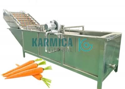 Carrot Beverage Processing Plant