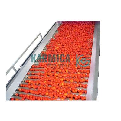 Tomato Process Plant, Ketchup, Sauces